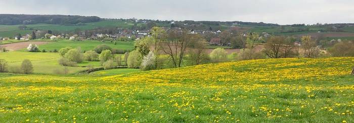 Uitzicht over het glooiende Heuvelland