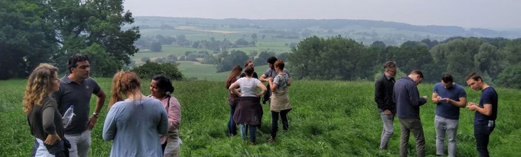Een groep in de wei bij de hoeve